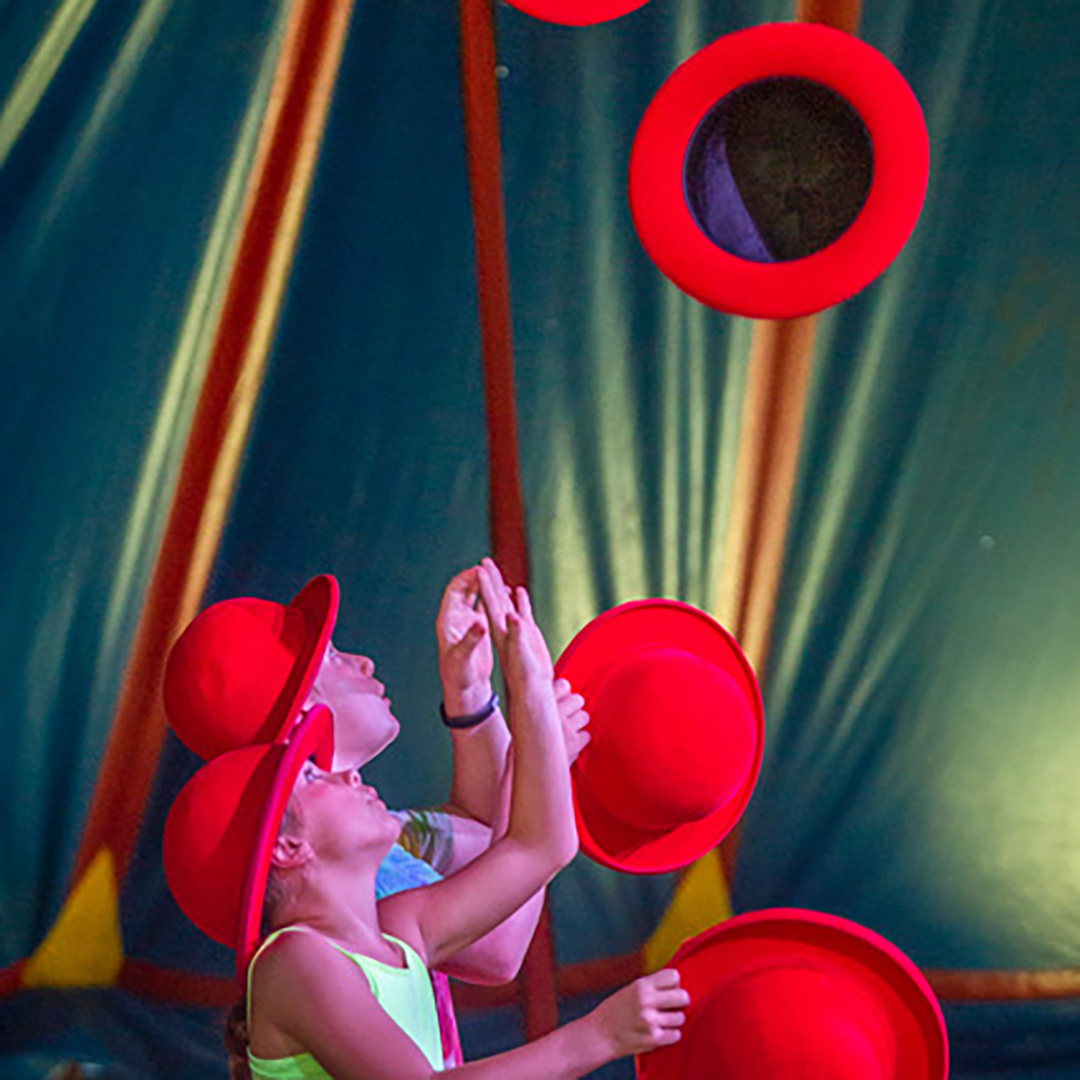 Circus camp, Calistoga