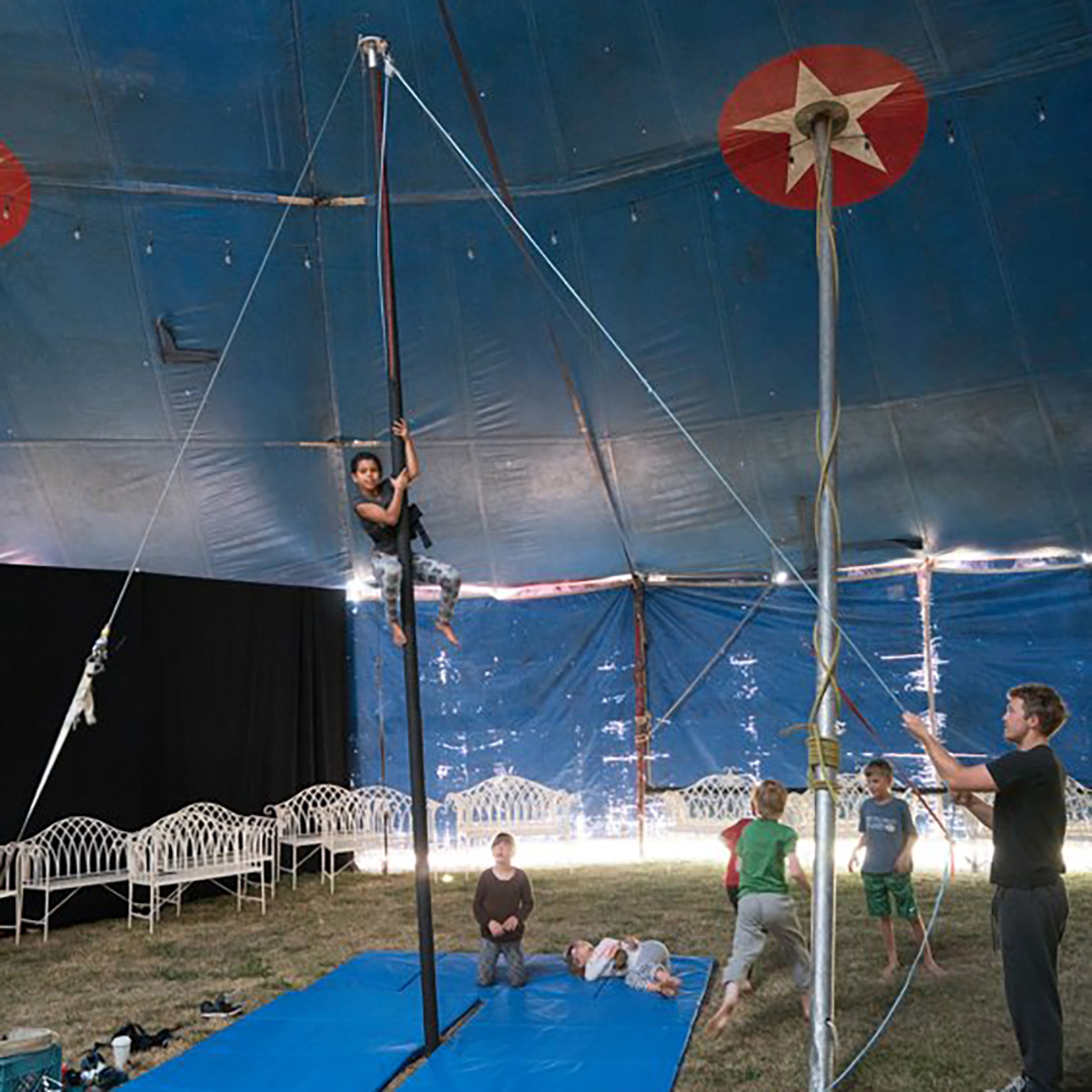 CAMP POLE WEB