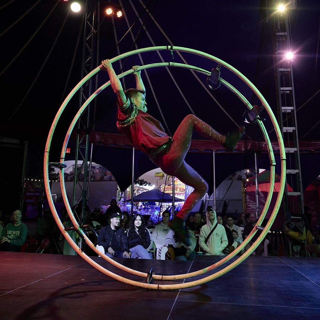pav wheel web